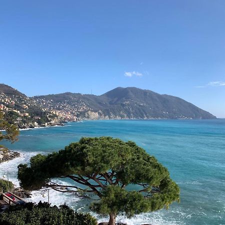 Villa Giulia By Holiday World Recco Εξωτερικό φωτογραφία